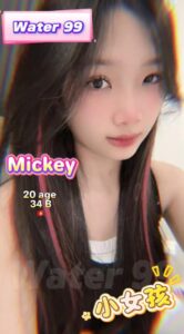 Mickey - Vietnam