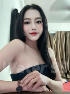 Daisy - Vietnam