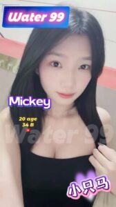 Mickey - Vietnam