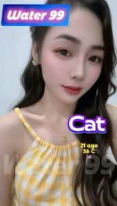 Cat - Thailand