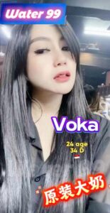 Voka - Indonesia