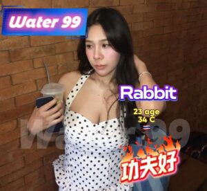 Rabbit - Thailand