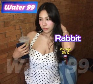 Rabbit - thailand