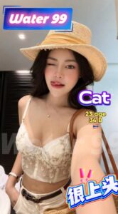 Cat - Thailand