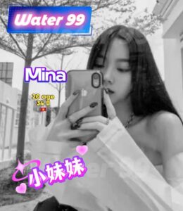 Mina - Vietnam