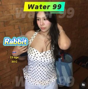 Rabbit - Thailand